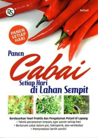 Image of Panen cabai setiap hari di lahan sempit